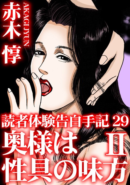 単行本-【読者体験告白手記 29 奥様は性具の味方 II】赤木惇