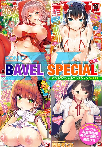 単行本-【COMIC BAVEL SPECIAL COLLECTION（コミックバベル スペシャルコレクション） VOL12】美矢火