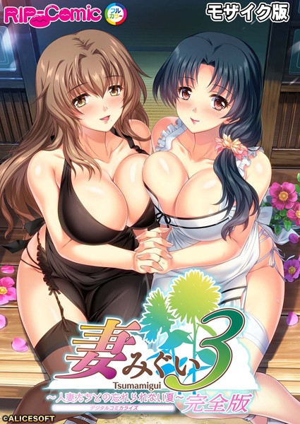 単行本-【妻みぐい3 〜人妻たちとの忘れられない夏〜 デジタルコミカライズ モザイク版【完全収録】】BENETTY