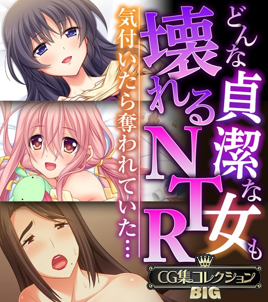 単行本-【どんな貞潔な女も壊れるNTR〜気付いたら奪われていた…〜【CG集コレクションBIG】】大人のSEXY絵本