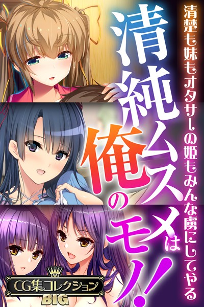 単行本-【清純ムスメは俺のモノ！〜清楚も妹もオタサーの姫もみんな虜にしてやる〜【CG集コレクションBIG】】大人のSEXY絵本