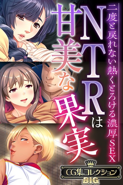 単行本-【NTRは甘美な果実〜二度と戻れない熱くとろける濃厚SEX〜【CG集コレクションBIG】】大人のSEXY絵本