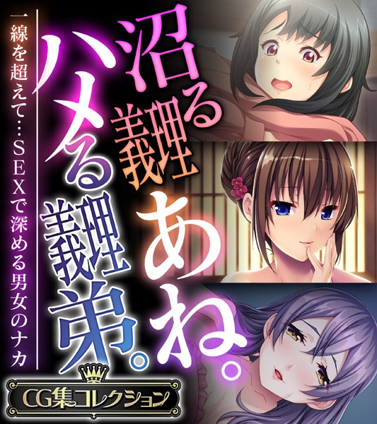 単行本-【沼る義理あね。ハメる義理弟。 〜一線を超えて…SEXで深める男女のナカ〜【CG集コレクション】】大人のSEXY絵本