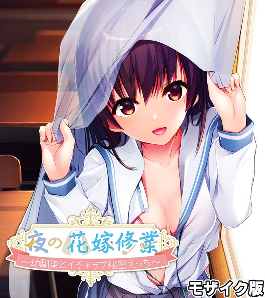 単行本-【夜の花嫁修業〜幼馴染とイチャラブ秘密えっち〜 モザイク版】大人のSEXY絵本