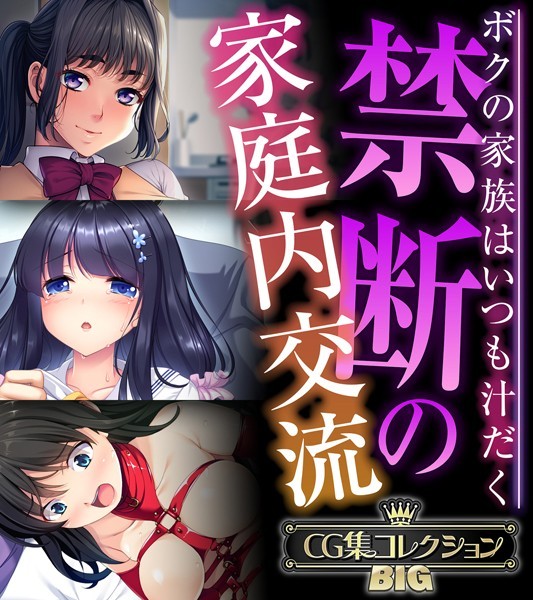 単行本-【禁断の家庭内交流 〜ボクの家族はいつも汁だく〜【CG集コレクションBIG】】大人のSEXY絵本