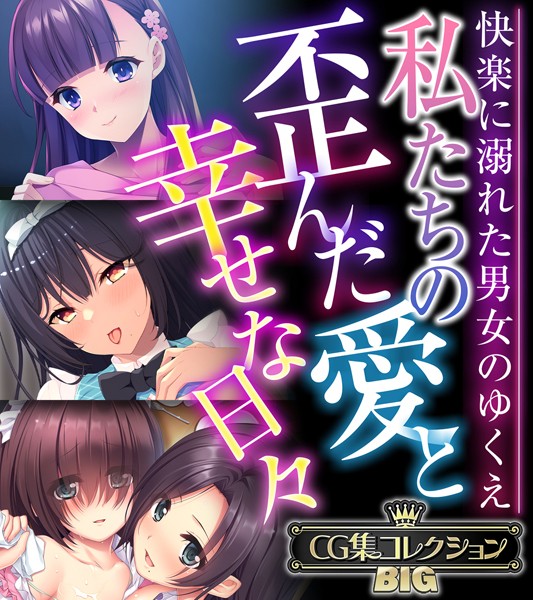 単行本-【私たちの歪んだ愛と幸せな日々 〜快楽に溺れた男女のゆくえ〜【CG集コレクションBIG】】大人のSEXY絵本