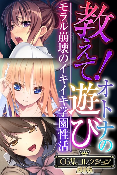 単行本-【教えて！オトナの遊び 〜モラル崩壊のイキイキ学園性活〜【CG集コレクションBIG】】大人のSEXY絵本