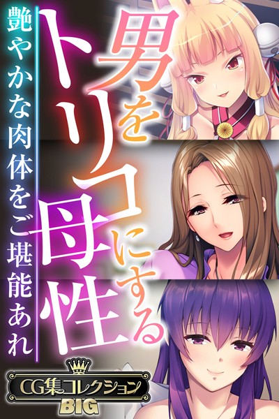 単行本-【男をトリコにする母性 〜艶やかな肉体をご堪能あれ〜【CG集コレクションBIG】】大人のSEXY絵本