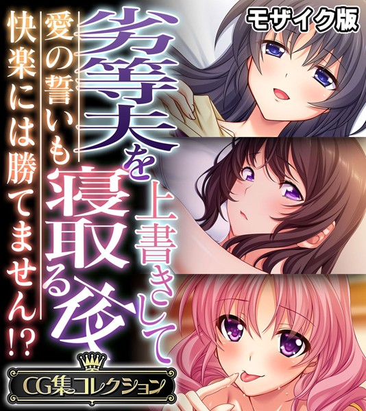 単行本-【劣等夫を上書きして寝取る夜 〜愛の誓いも快楽には勝てません！？〜【CG集コレクション】 モザイク版】大人のSEXY絵本