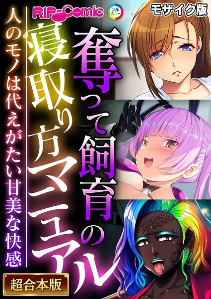 フルカラー-【奪って飼育の寝取り方マニュアル 〜人のモノは代えがたい甘美な快感〜【超合本シリーズ】 モザイク版】BENETTY