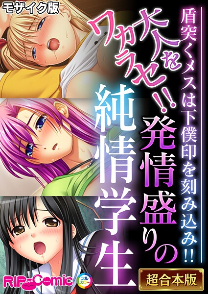 フルカラー-【大人をワカラセ！！発情盛りの純情学生 〜盾突くメスは下僕印を刻み込み！！〜【超合本シリーズ】 モザイク版】BENETTY